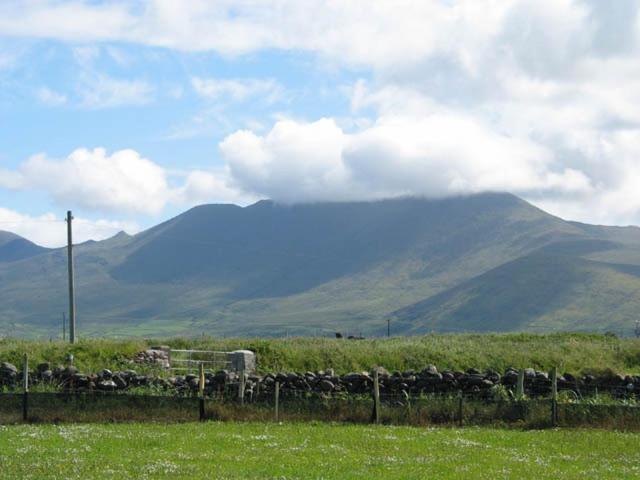 Coill An Rois B&B Ballydavid Dış mekan fotoğraf