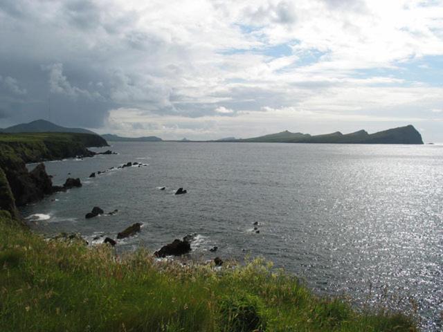 Coill An Rois B&B Ballydavid Dış mekan fotoğraf