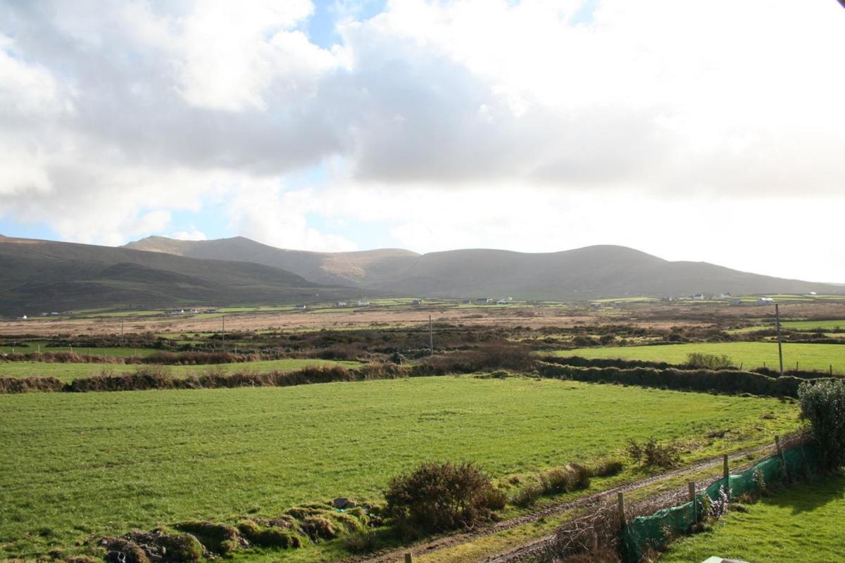 Coill An Rois B&B Ballydavid Dış mekan fotoğraf
