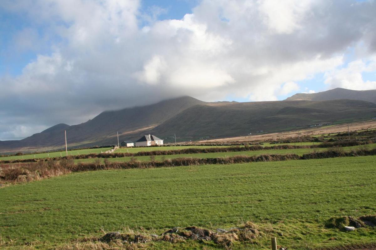Coill An Rois B&B Ballydavid Dış mekan fotoğraf