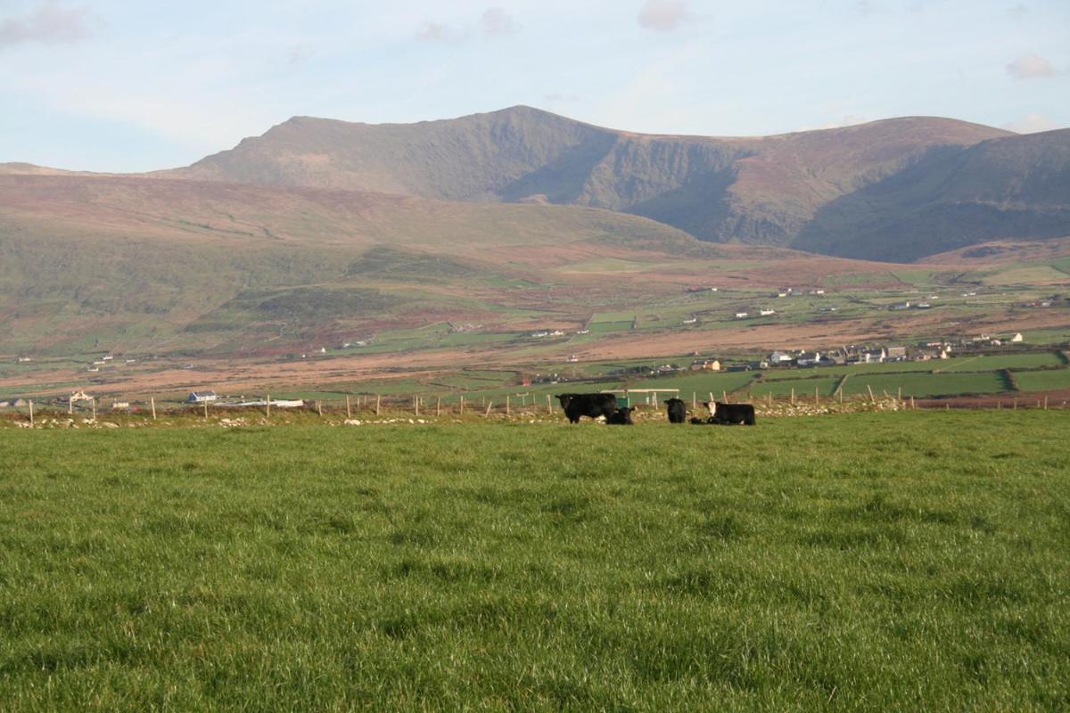 Coill An Rois B&B Ballydavid Dış mekan fotoğraf