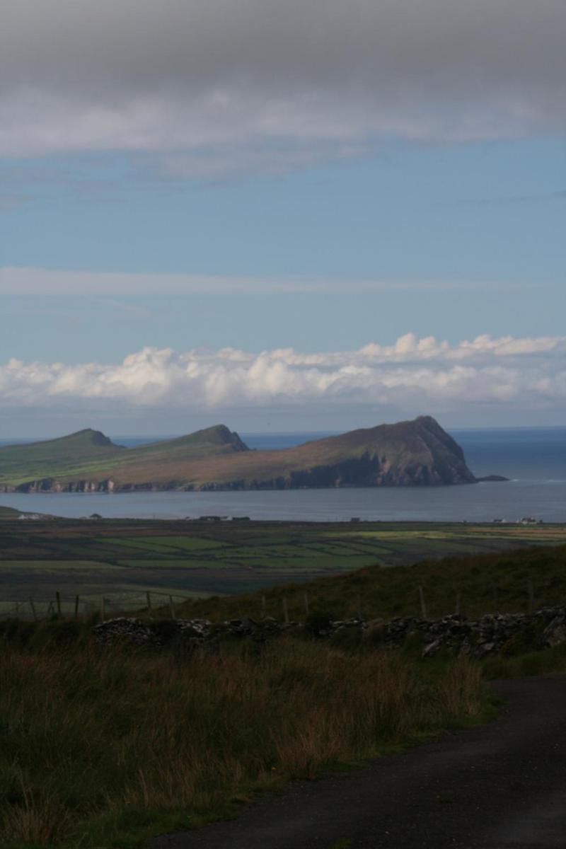 Coill An Rois B&B Ballydavid Dış mekan fotoğraf